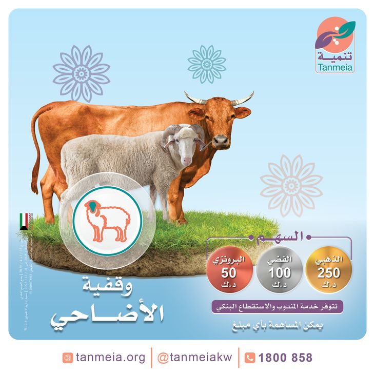 وقفية الأضاحي وقفية الأضاحي